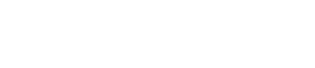 Corporate Vision