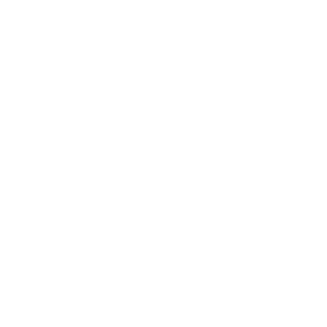 Our company values